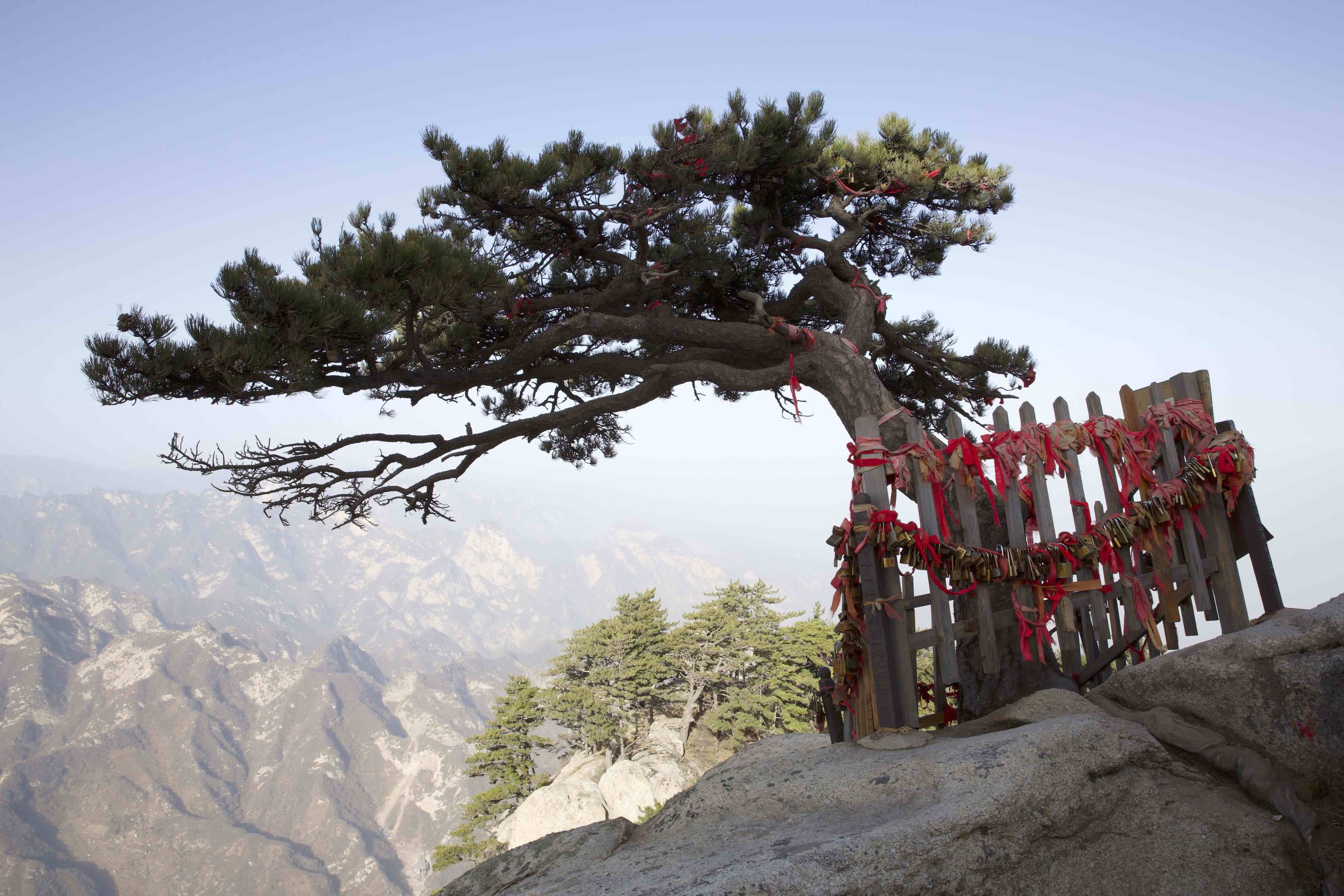 Accrocher des cadenas aux arbres au mont Huashan photo de Adeline Herrou @