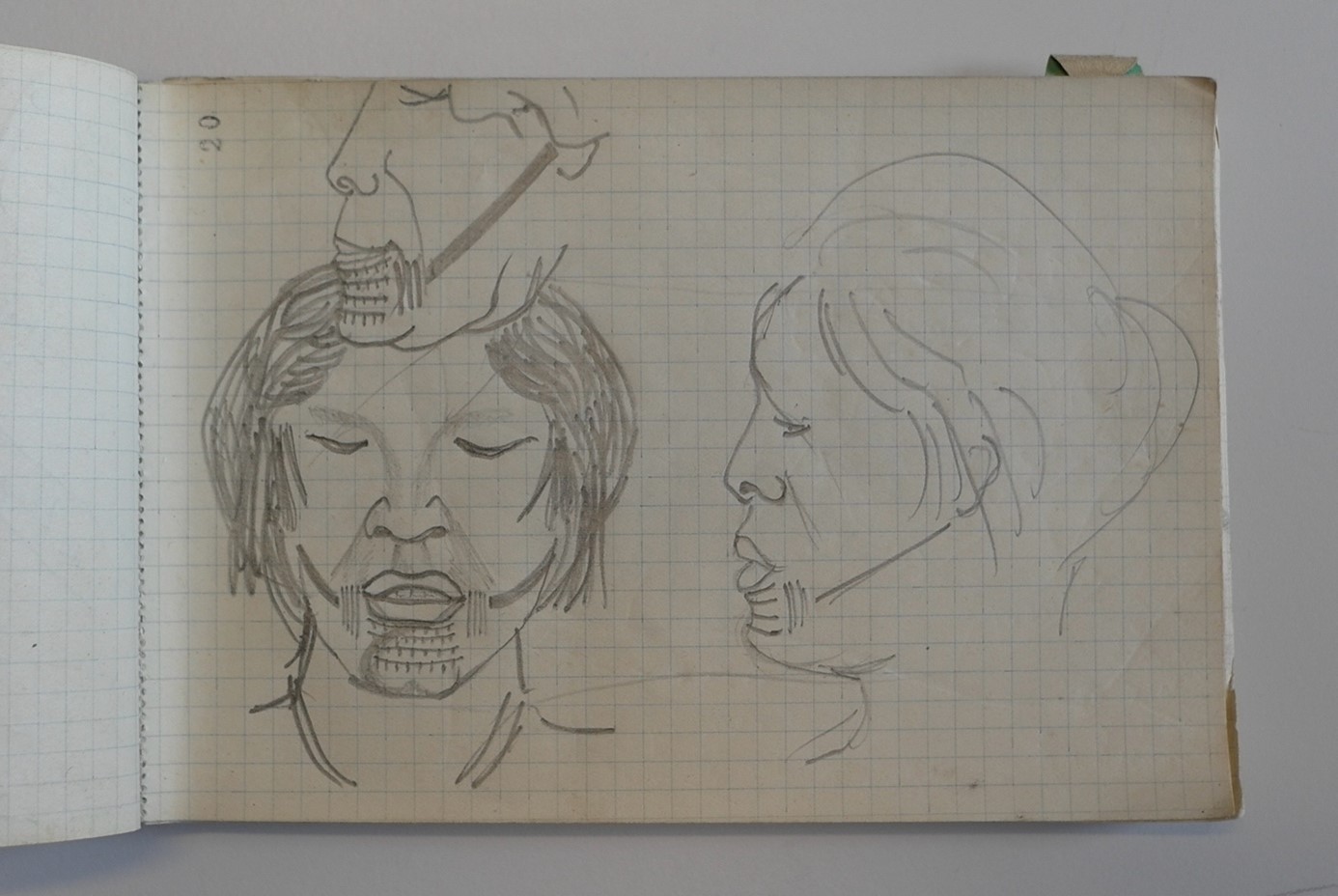 Image1